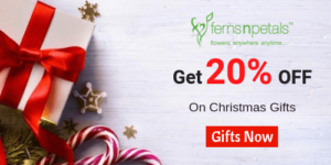 fnp-christmas-gift-offer