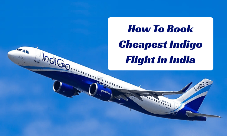 how-to-book-cheapest-indigo-flight-india